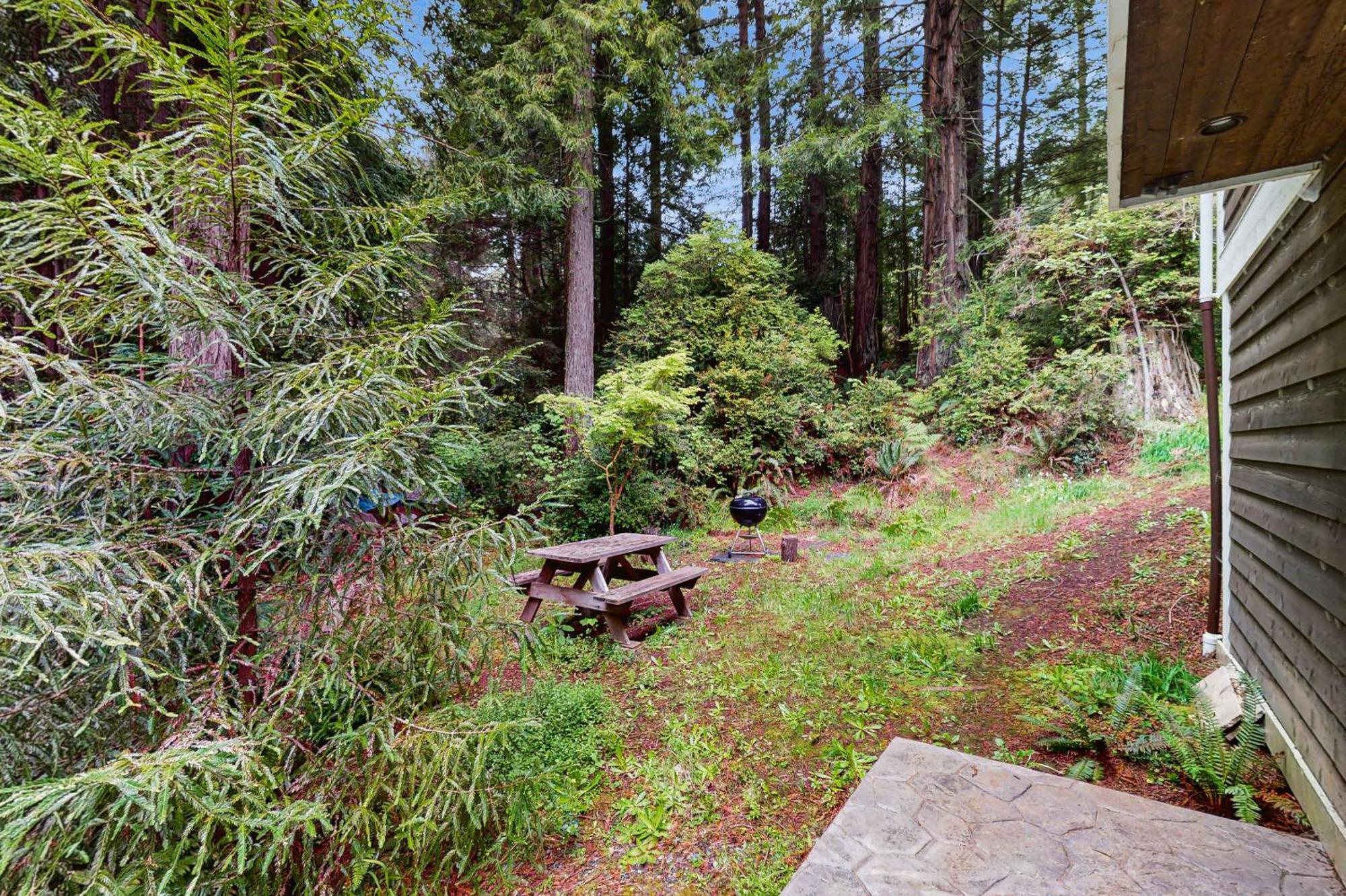 Serene Redwood Retreat Arcata Esterno foto