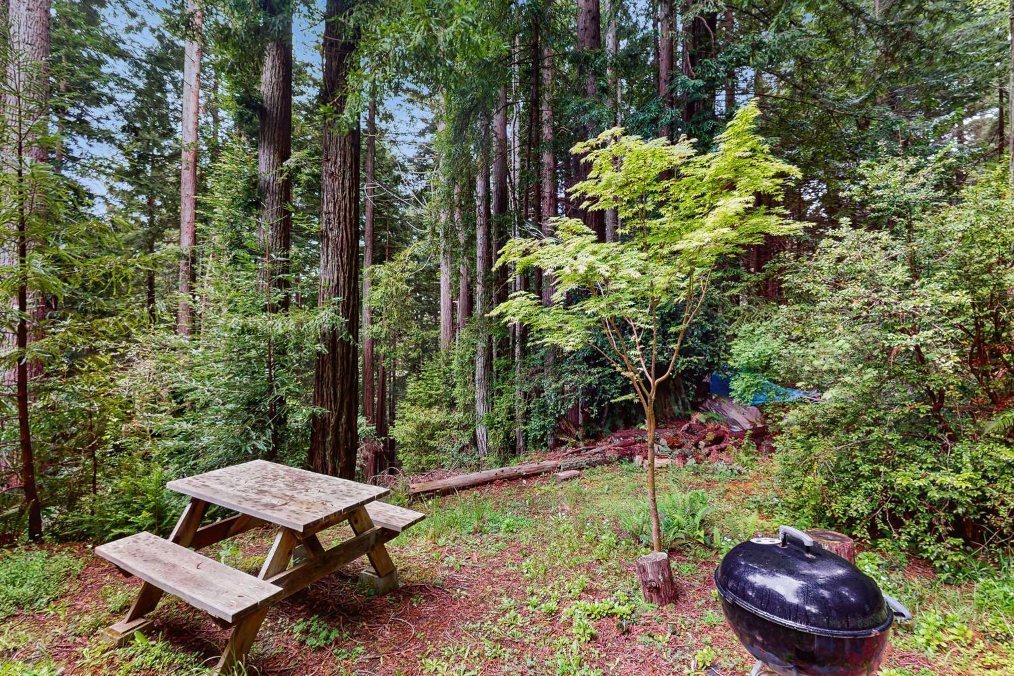 Serene Redwood Retreat Arcata Esterno foto