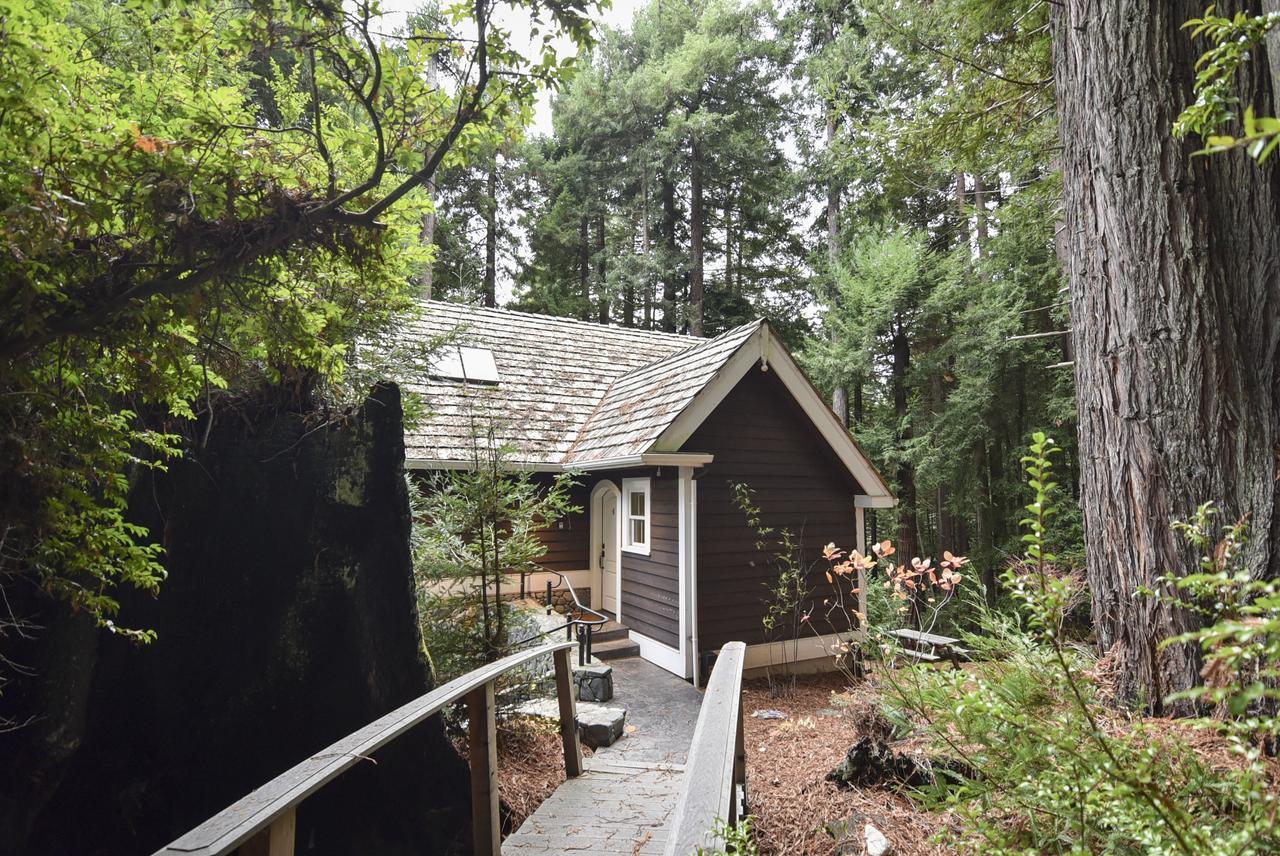 Serene Redwood Retreat Arcata Esterno foto