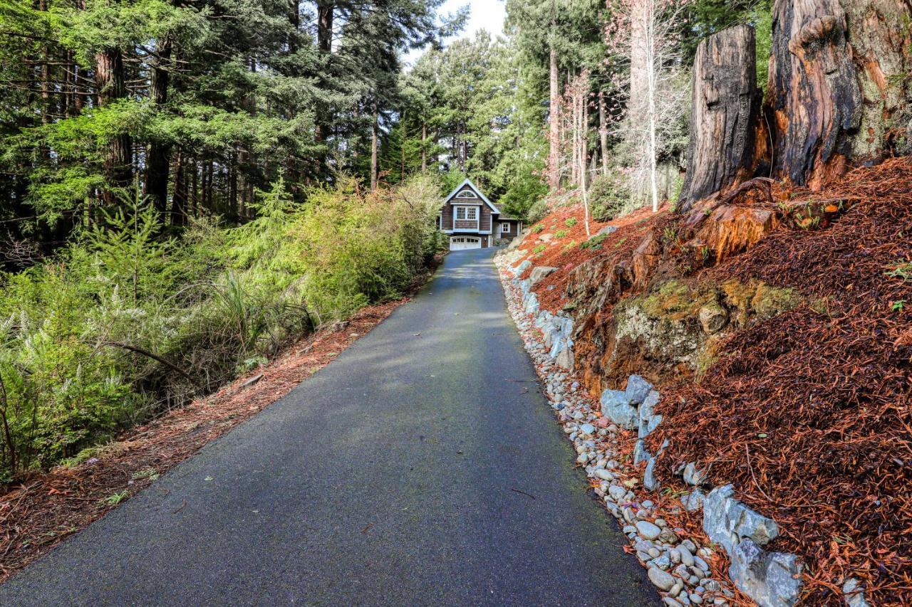 Serene Redwood Retreat Arcata Esterno foto